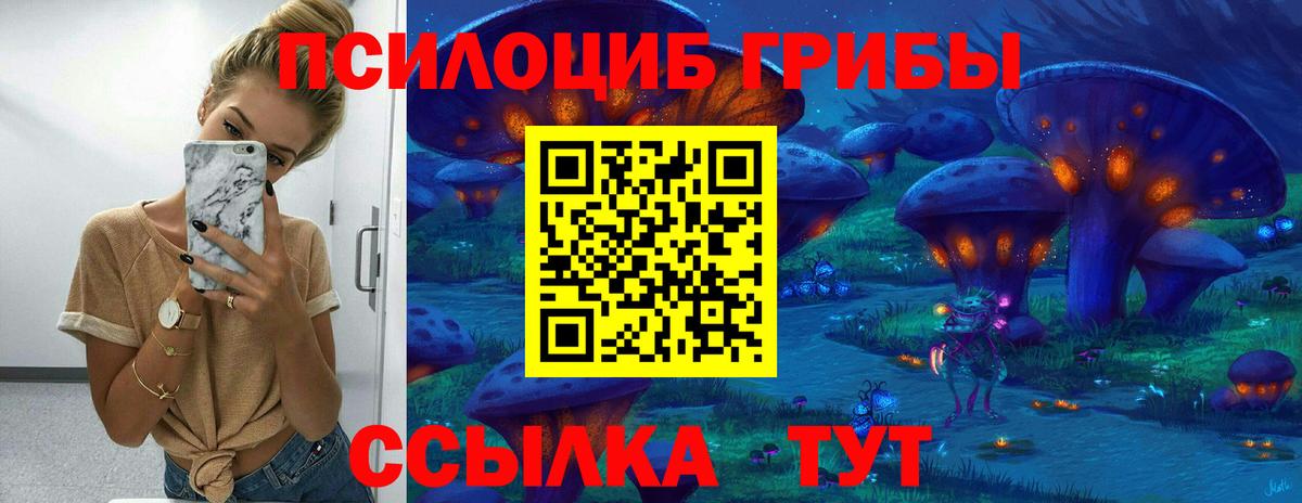 Славянск-на-Кубани  Галлюциногенные грибы мухоморы  Вход с VPN 