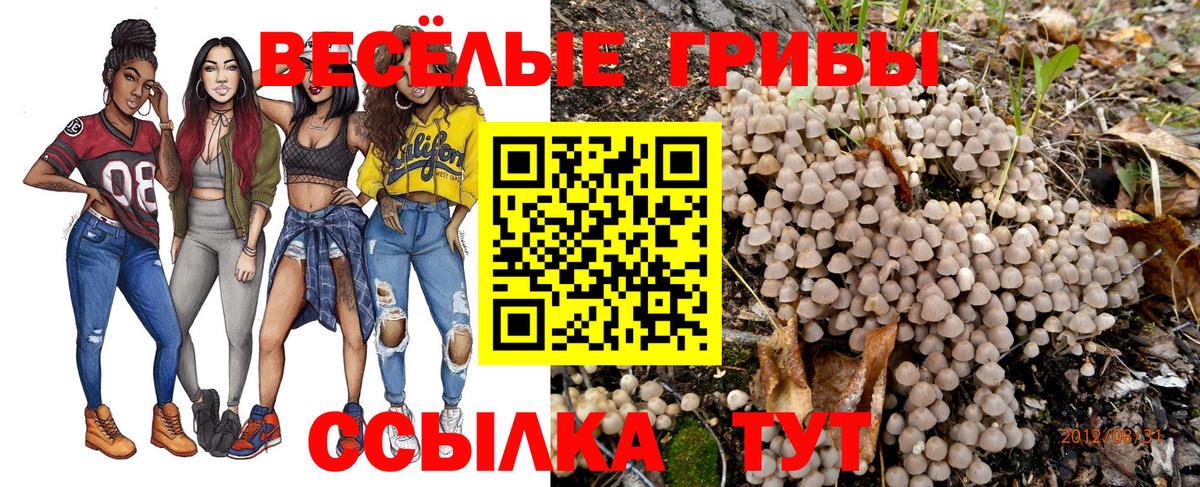 Псилоцибиновые грибы Psilocybine cubensis Славянск-на-Кубани